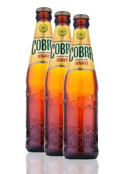 Indisches Cobra Bier