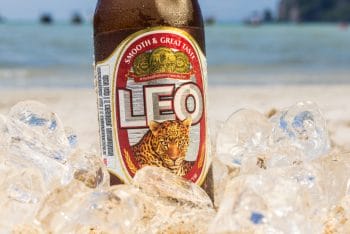 Leo Bier