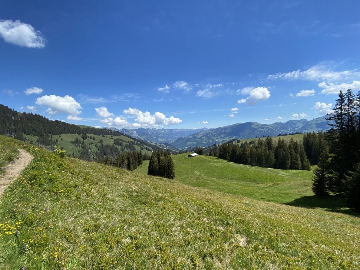 Simmental im Berner Oberland